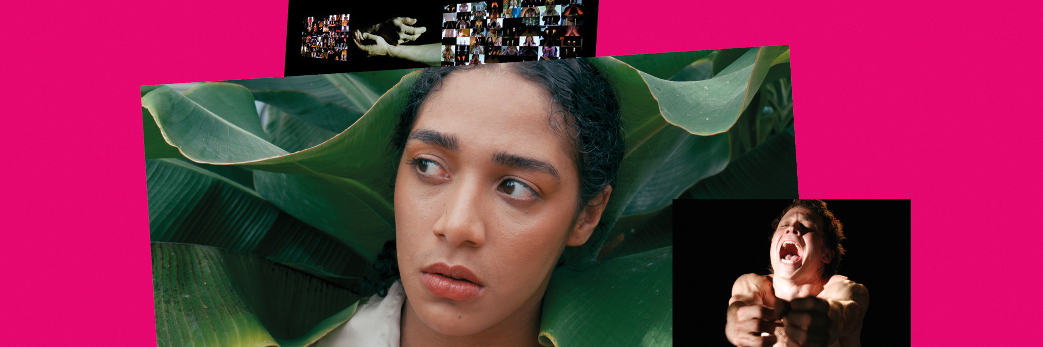 TANZRAUSCHEN Festival 2026